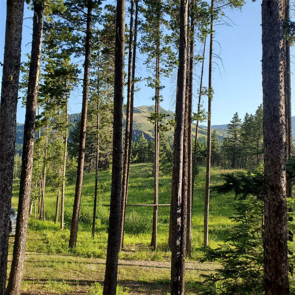 16221 Grizzly Lane Augusta MT 59410