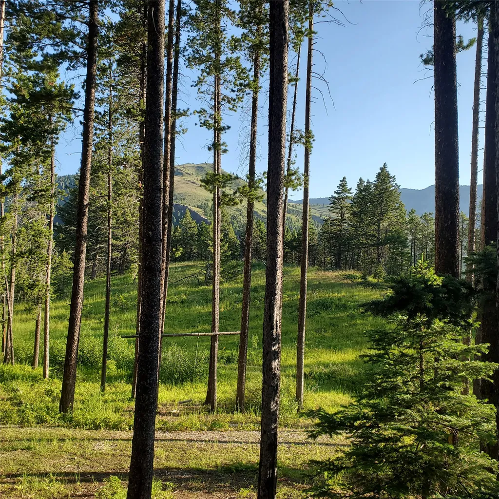 16221 Grizzly Lane Augusta MT 59410