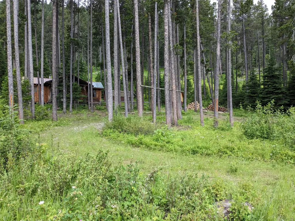 16221 Grizzly Lane Augusta MT 59410