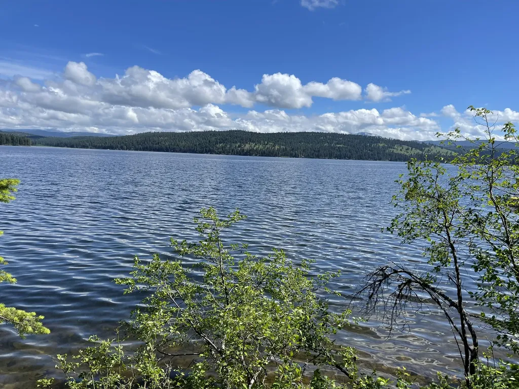 1042 Placid View Place Seeley Lake MT 59868