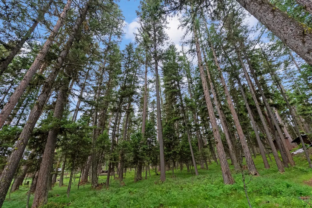 1042 Placid View Place Seeley Lake MT 59868