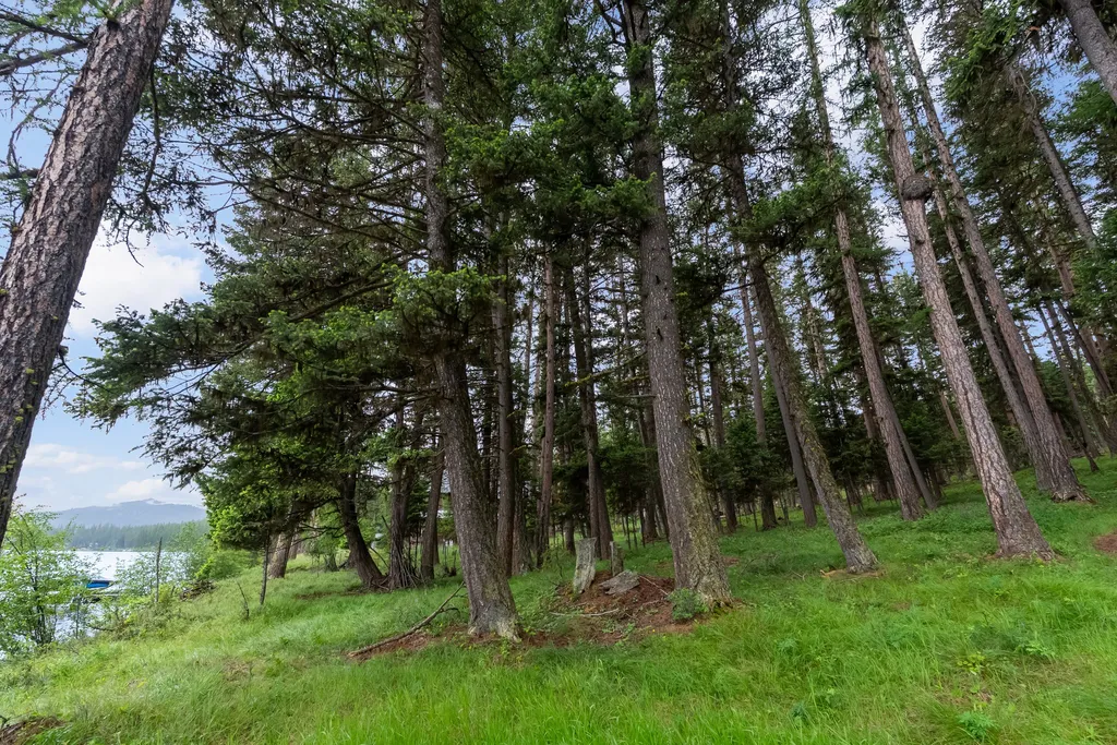 1042 Placid View Place Seeley Lake MT 59868