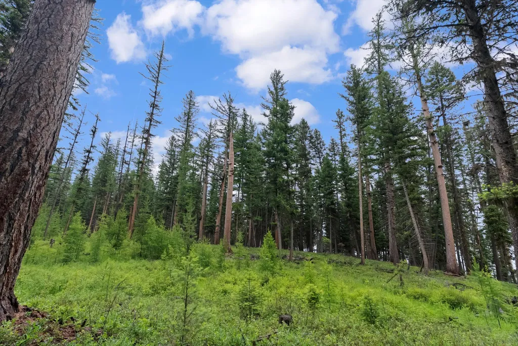 1042 Placid View Place Seeley Lake MT 59868