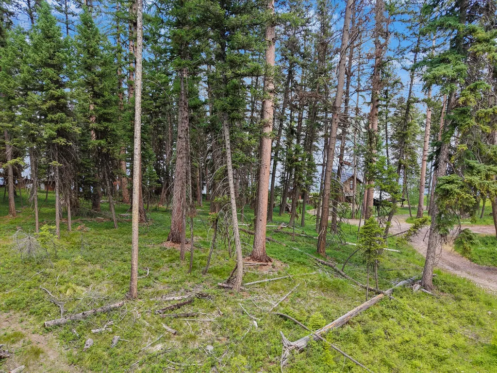 1042 Placid View Place Seeley Lake MT 59868