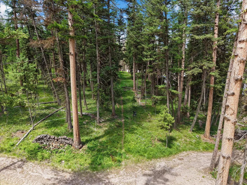 1042 Placid View Place Seeley Lake MT 59868