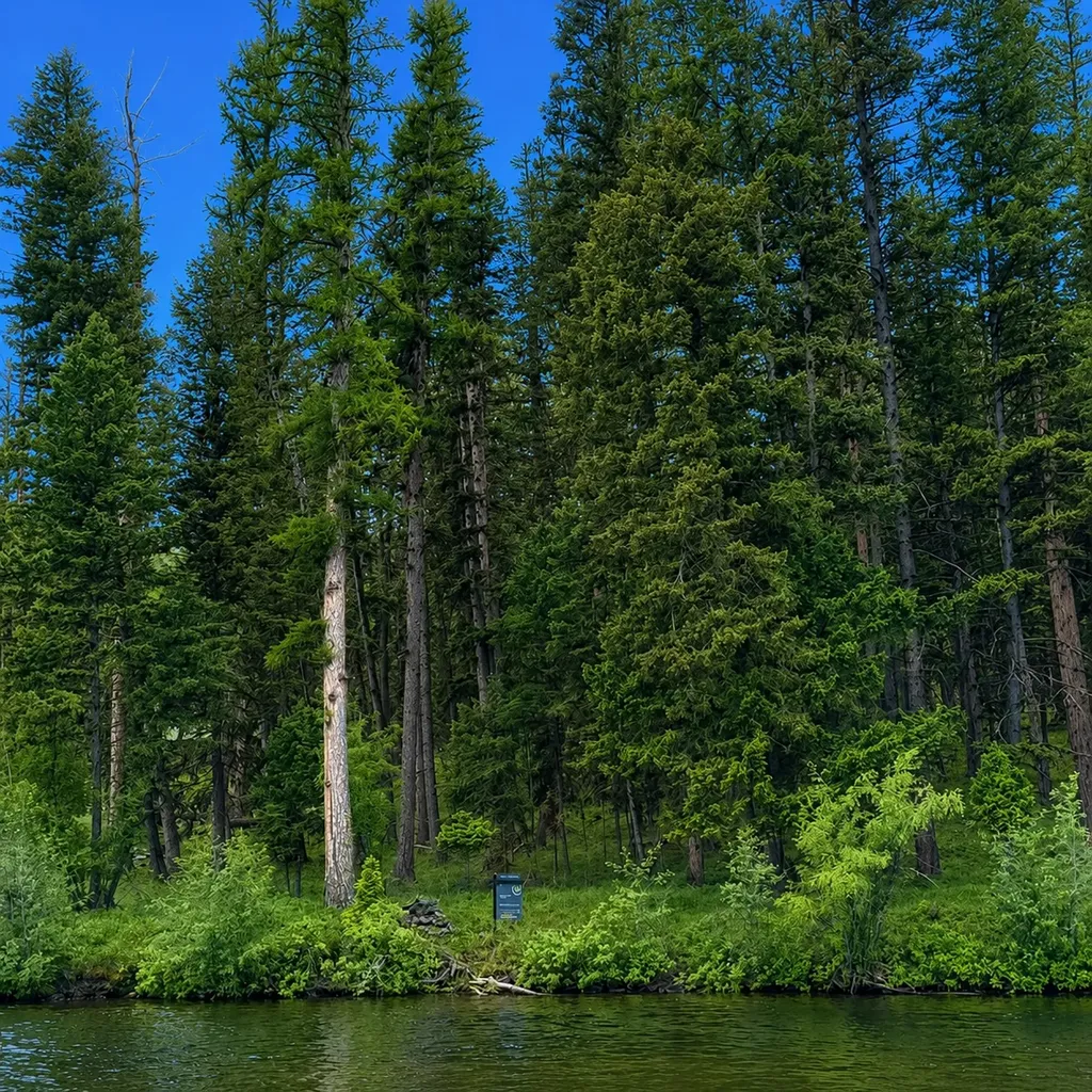 1042 Placid View Place Seeley Lake MT 59868