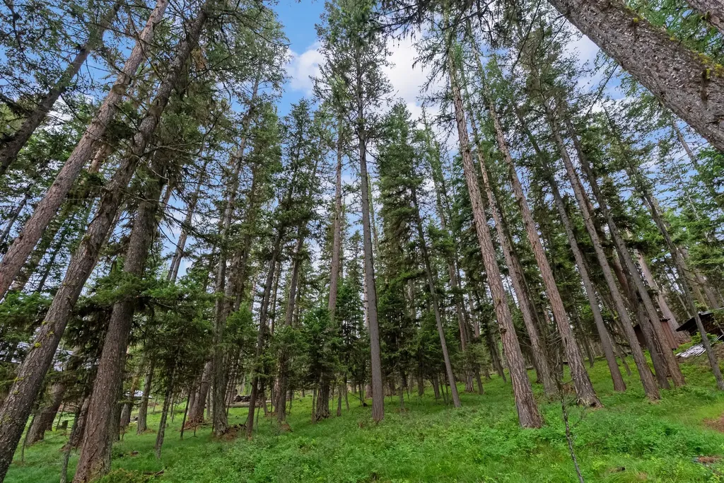 1042 Placid View Place Seeley Lake MT 59868