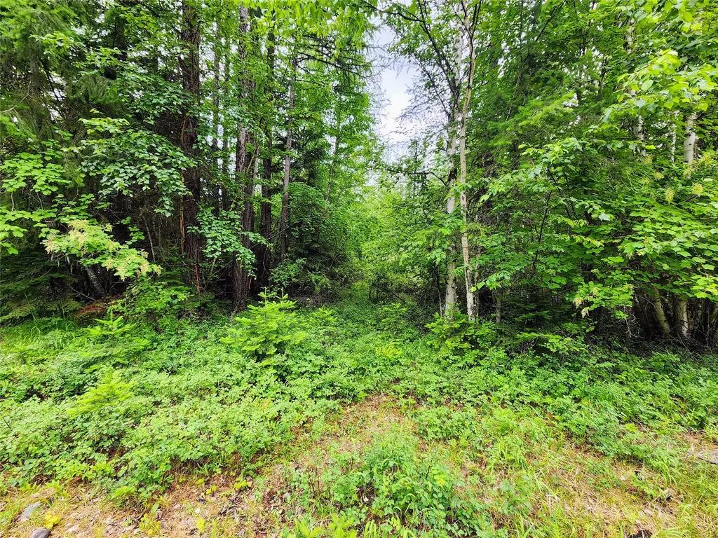 13727 Big Hawk Drive Bigfork MT 59911