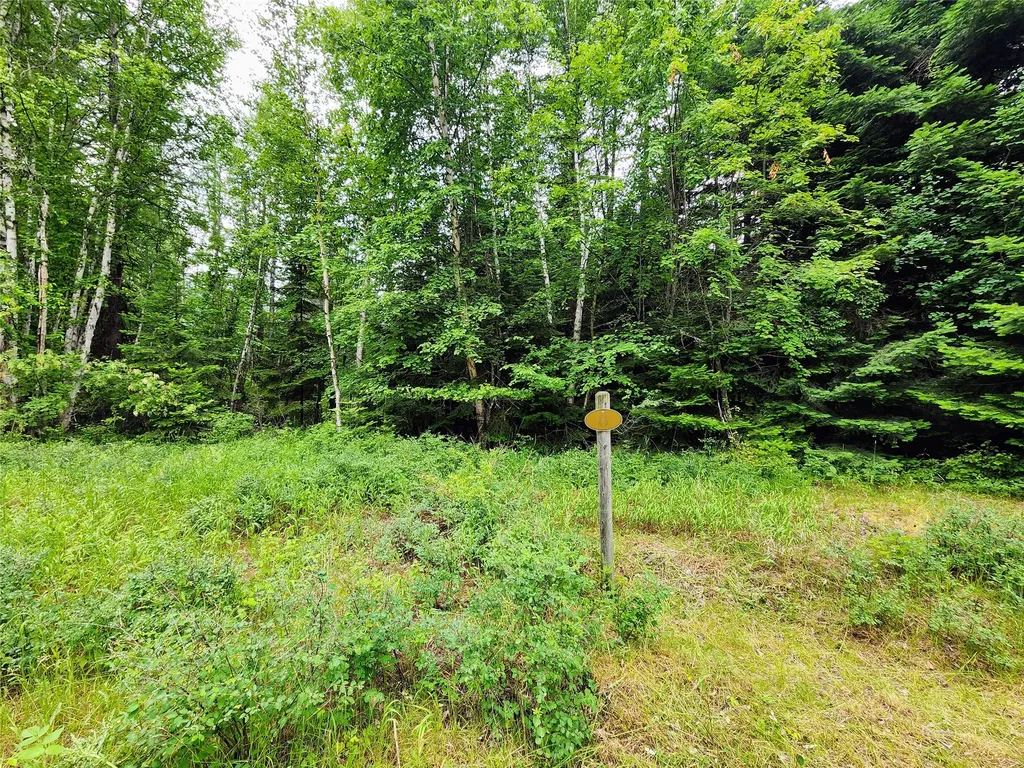 13727 Big Hawk Drive Bigfork MT 59911