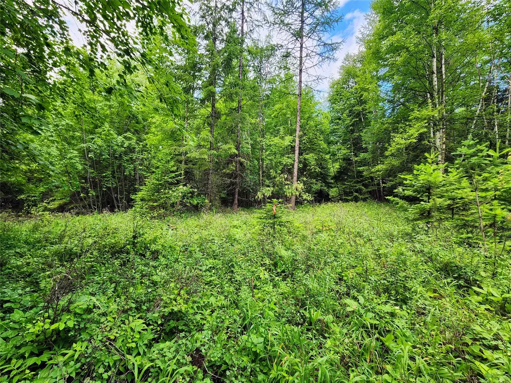 13727 Big Hawk Drive Bigfork MT 59911