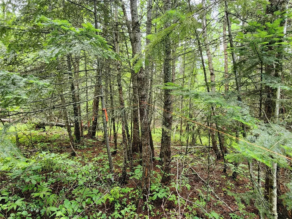 13727 Big Hawk Drive Bigfork MT 59911