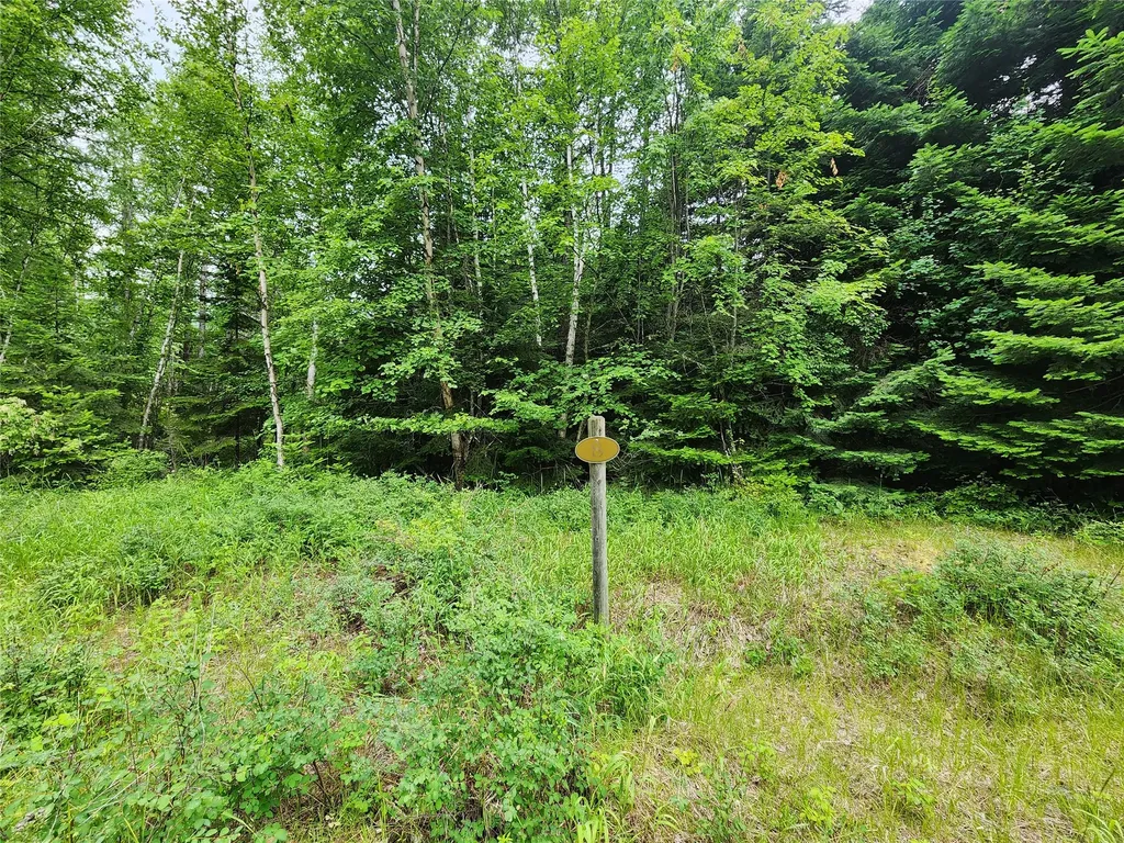 13727 Big Hawk Drive Bigfork MT 59911