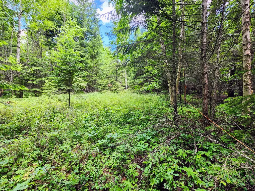 13727 Big Hawk Drive Bigfork MT 59911