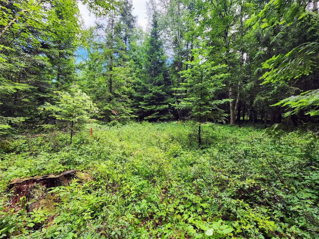 13727 Big Hawk Drive Bigfork MT 59911
