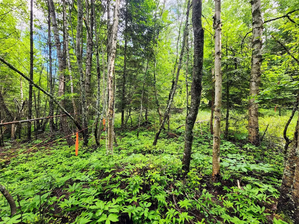 13727 Big Hawk Drive Bigfork MT 59911