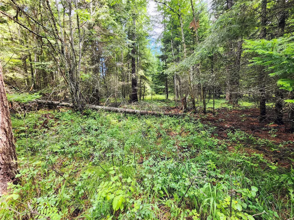 13727 Big Hawk Drive Bigfork MT 59911