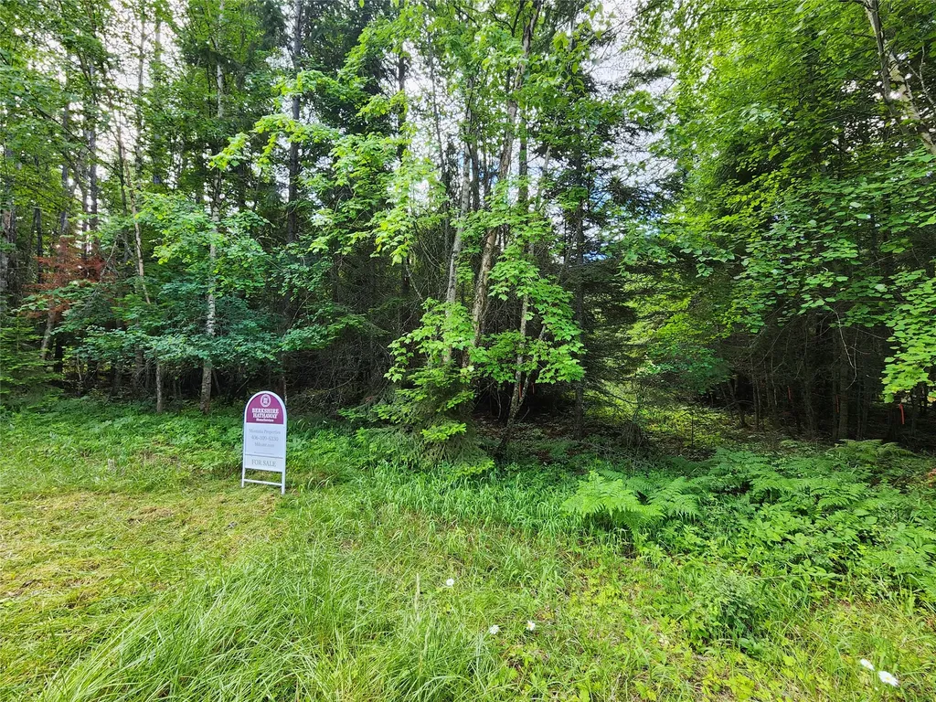 13727 Big Hawk Drive Bigfork MT 59911