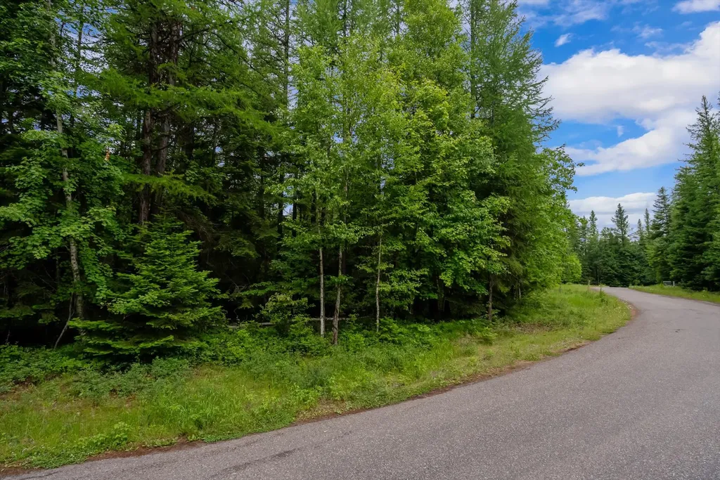 13727 Big Hawk Drive Bigfork MT 59911