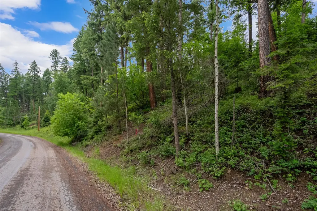 13727 Big Hawk Drive Bigfork MT 59911
