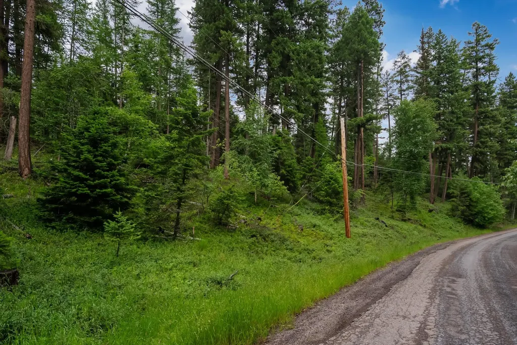 13727 Big Hawk Drive Bigfork MT 59911