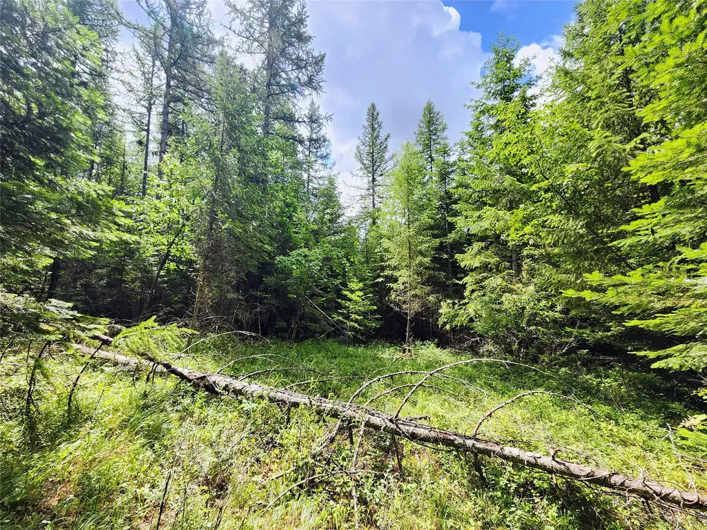 13727 Big Hawk Drive Bigfork MT 59911