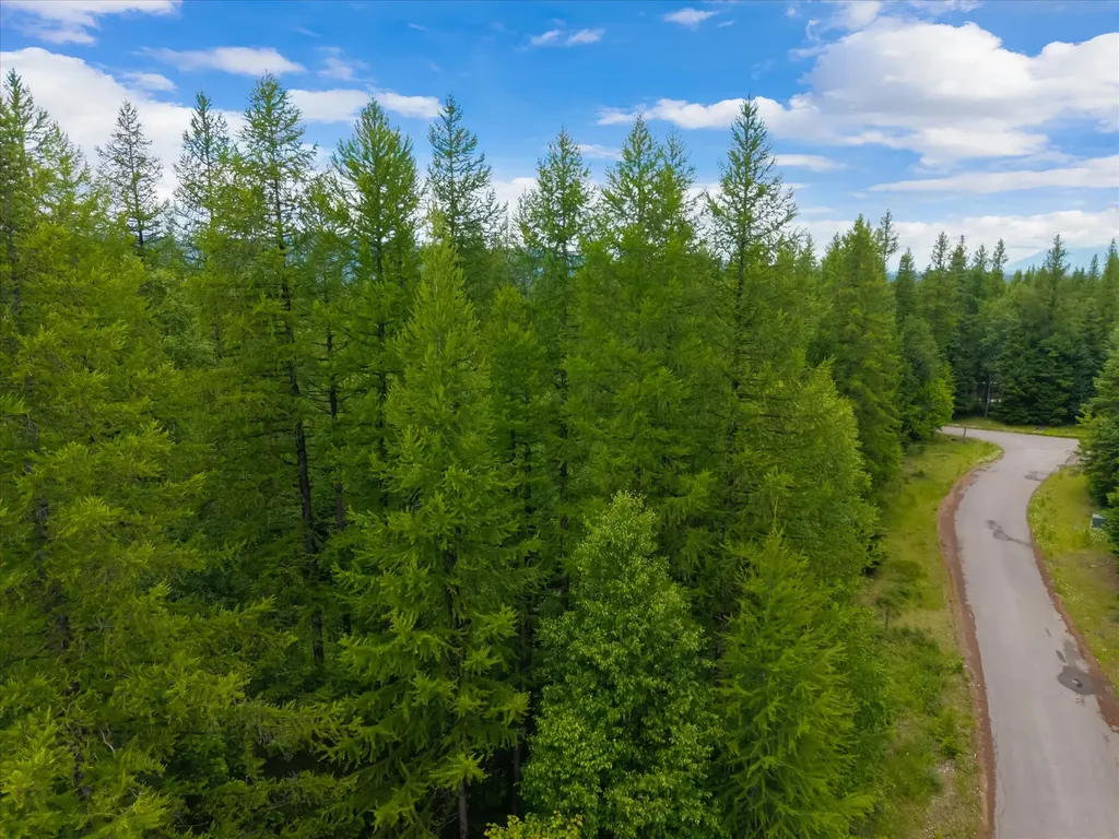 13727 Big Hawk Drive Bigfork MT 59911