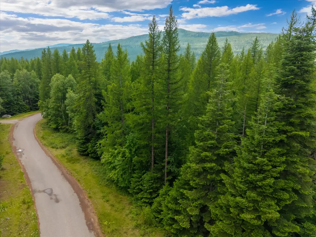 13727 Big Hawk Drive Bigfork MT 59911