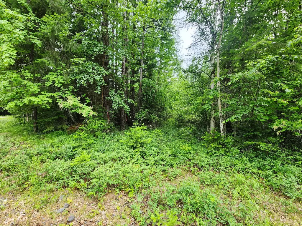 13727 Big Hawk Drive Bigfork MT 59911