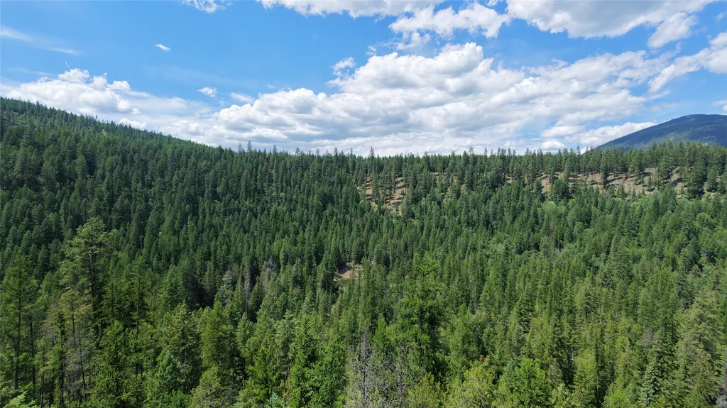 Tbd Eastside Road Troy MT 59935