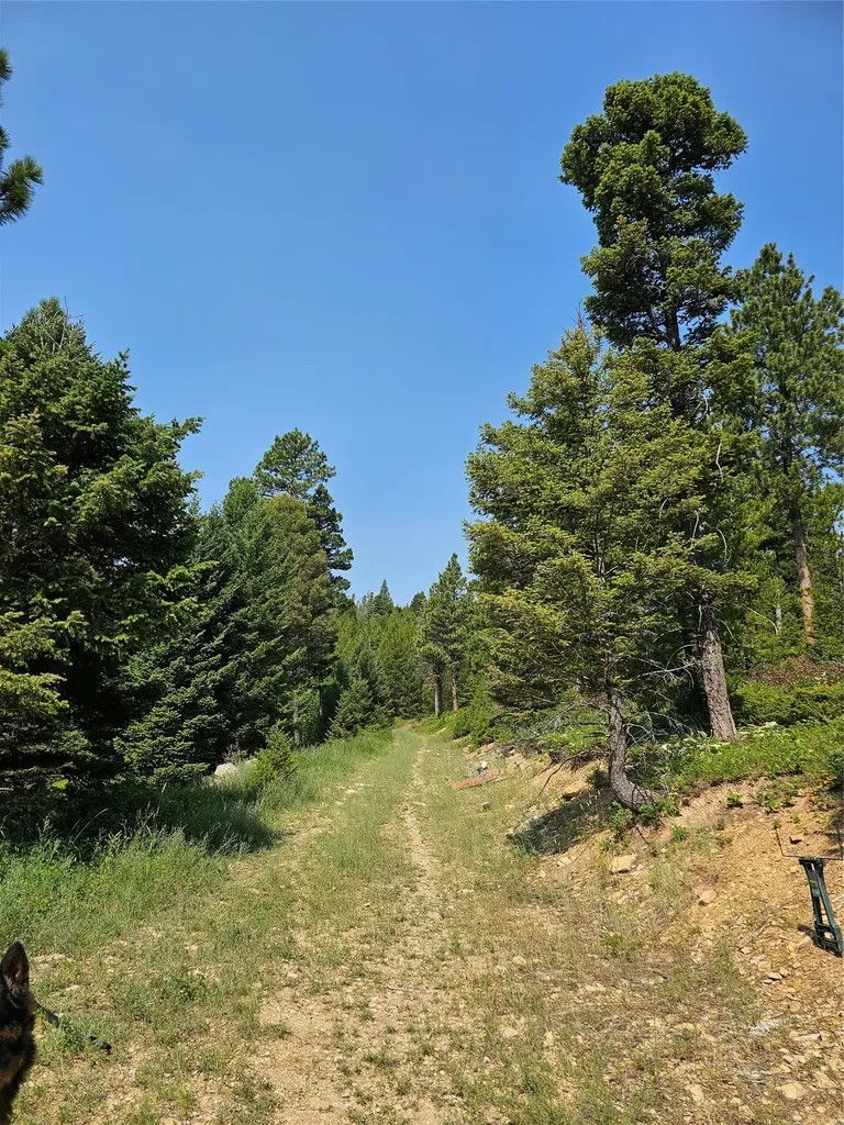 Lot 68 Elk Meadows Lincoln MT 59639