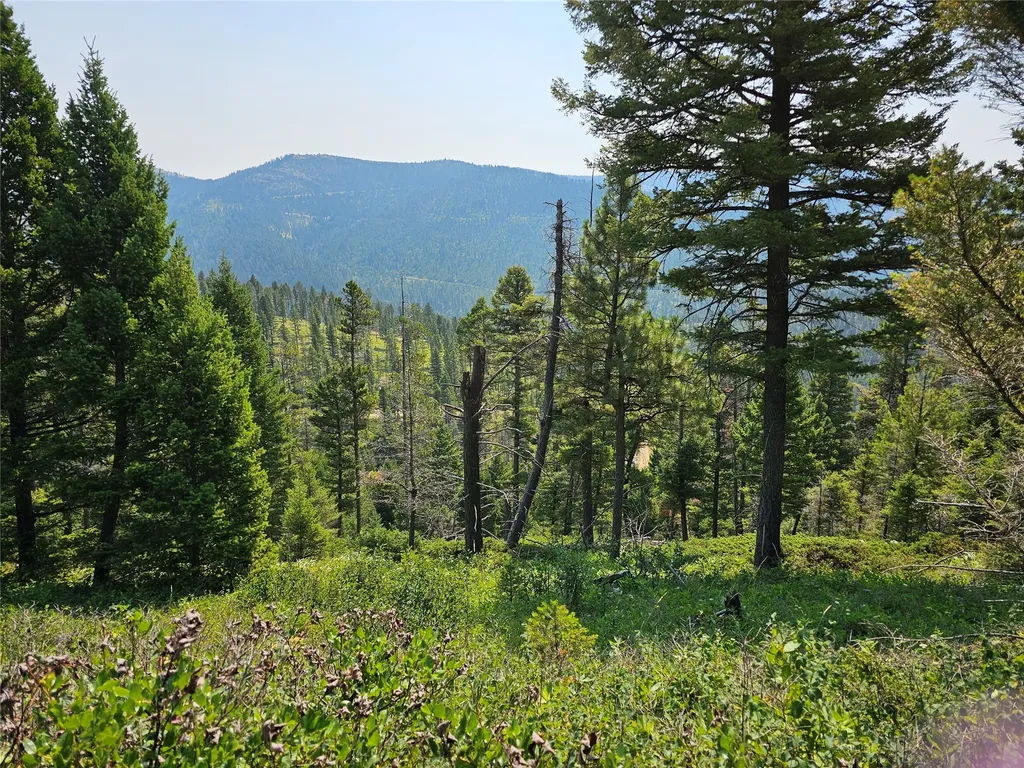 Lot 68 Elk Meadows Lincoln MT 59639