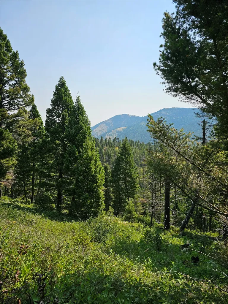 Lot 68 Elk Meadows Lincoln MT 59639