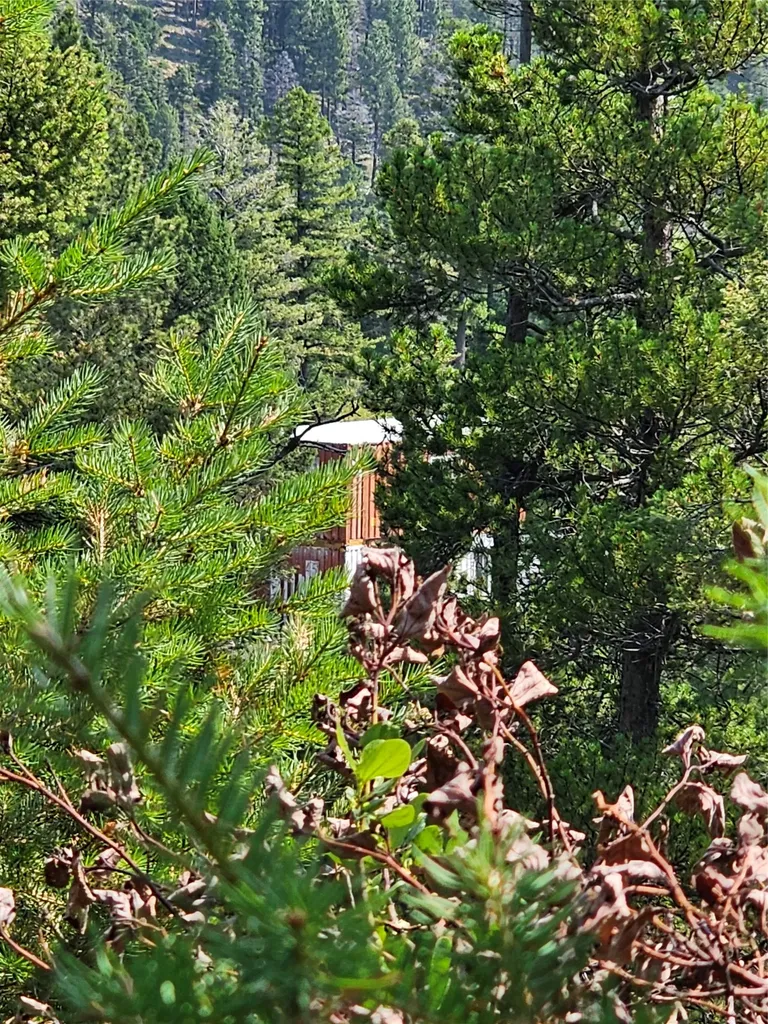 Lot 68 Elk Meadows Lincoln MT 59639
