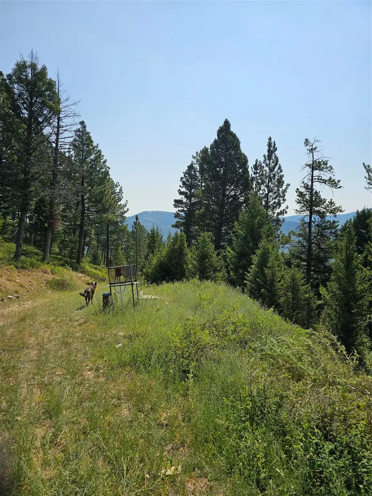 Lot 68 Elk Meadows Lincoln MT 59639