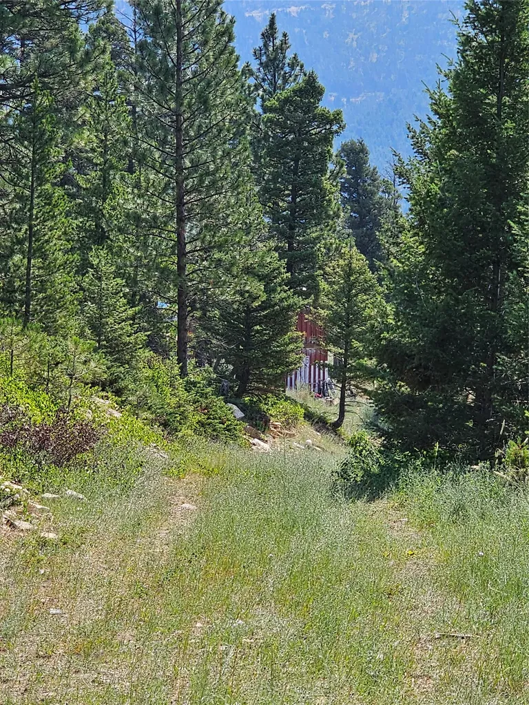 Lot 68 Elk Meadows Lincoln MT 59639