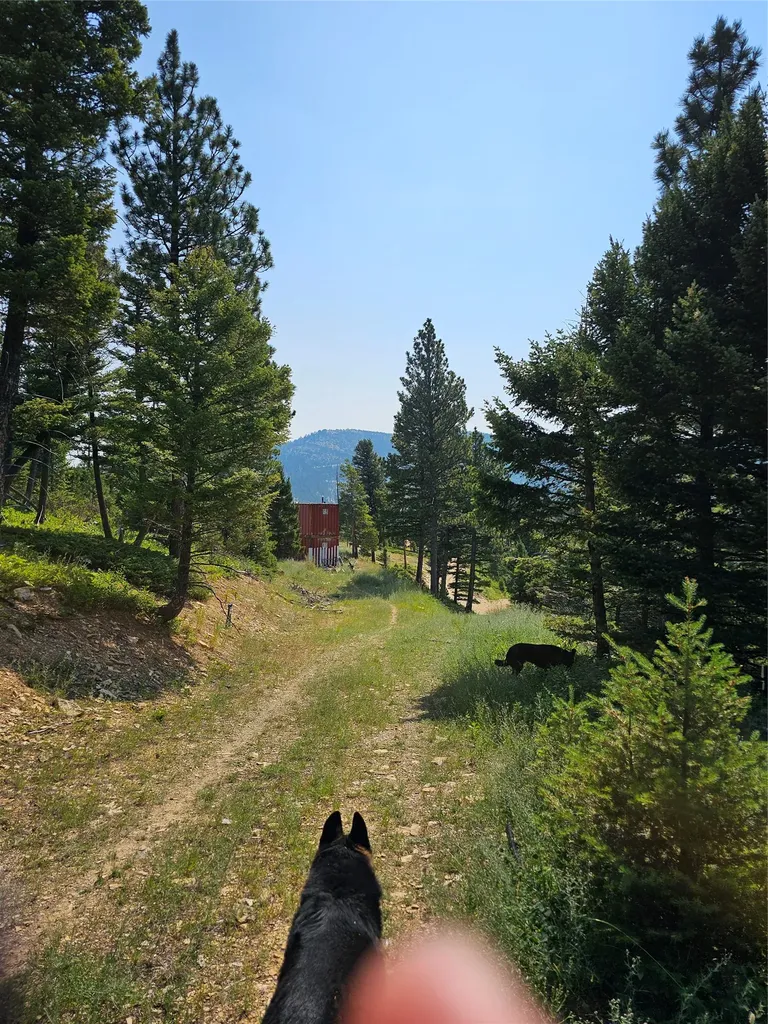 Lot 68 Elk Meadows Lincoln MT 59639