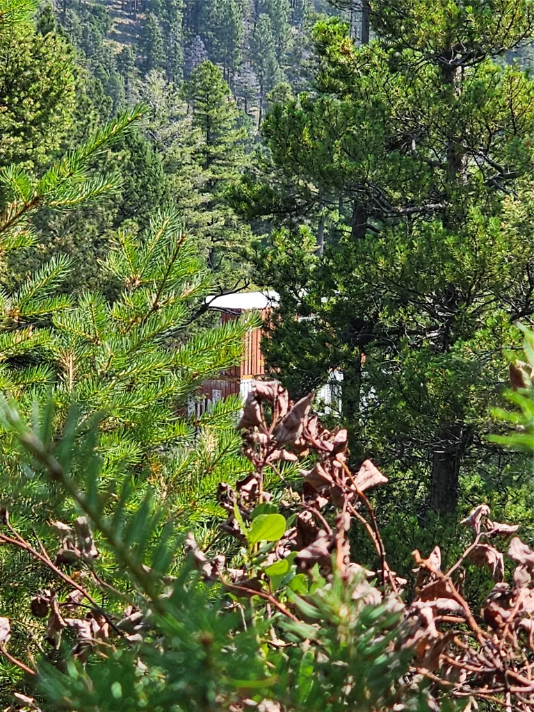 Lot 68 Elk Meadows Lincoln MT 59639