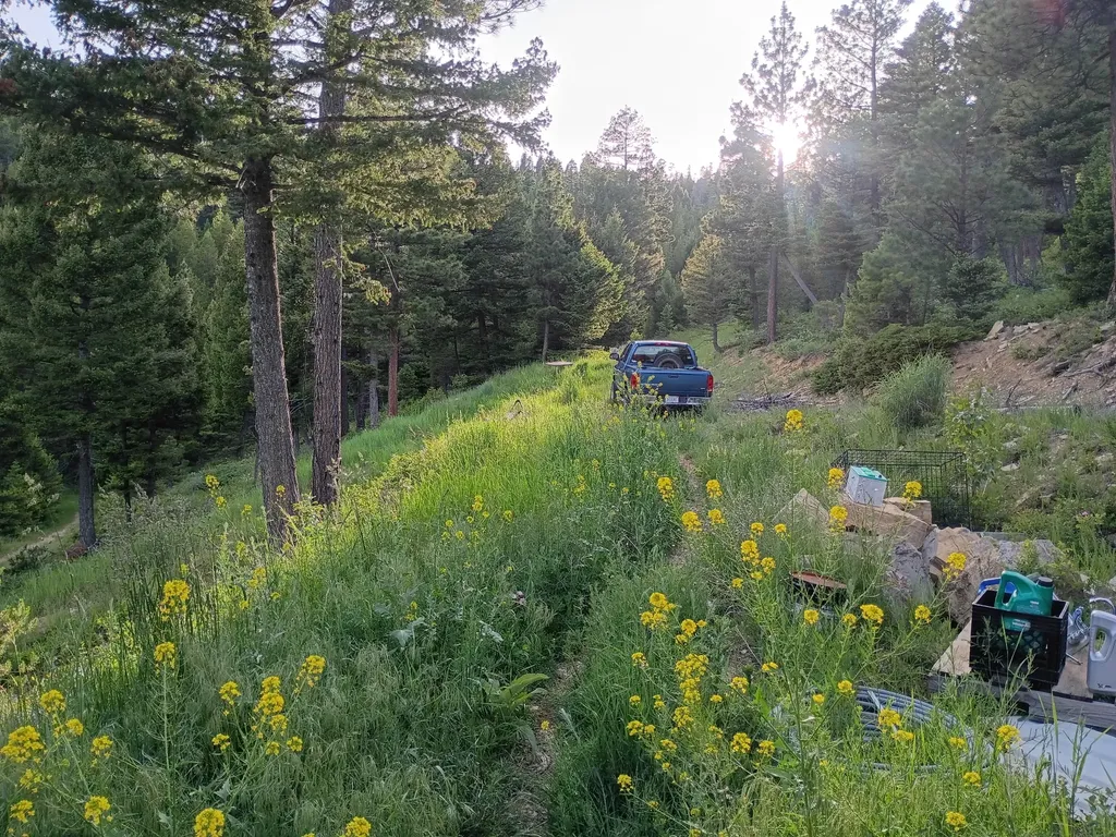 Lot 68 Elk Meadows Lincoln MT 59639