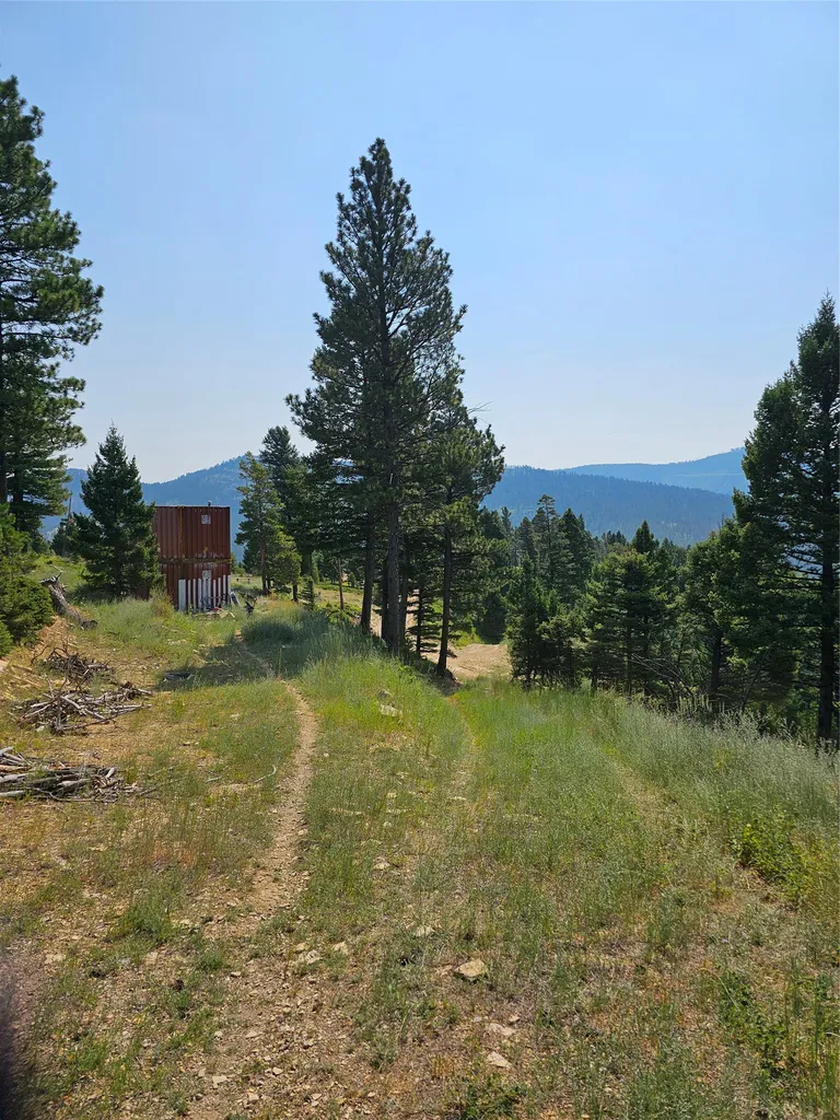 Lot 68 Elk Meadows Lincoln MT 59639