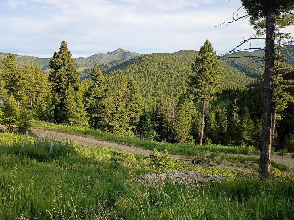 Lot 68 Elk Meadows Lincoln MT 59639
