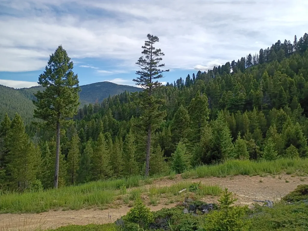 Lot 68 Elk Meadows Lincoln MT 59639