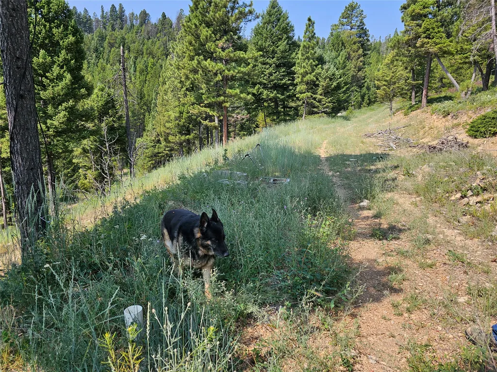 Lot 68 Elk Meadows Lincoln MT 59639