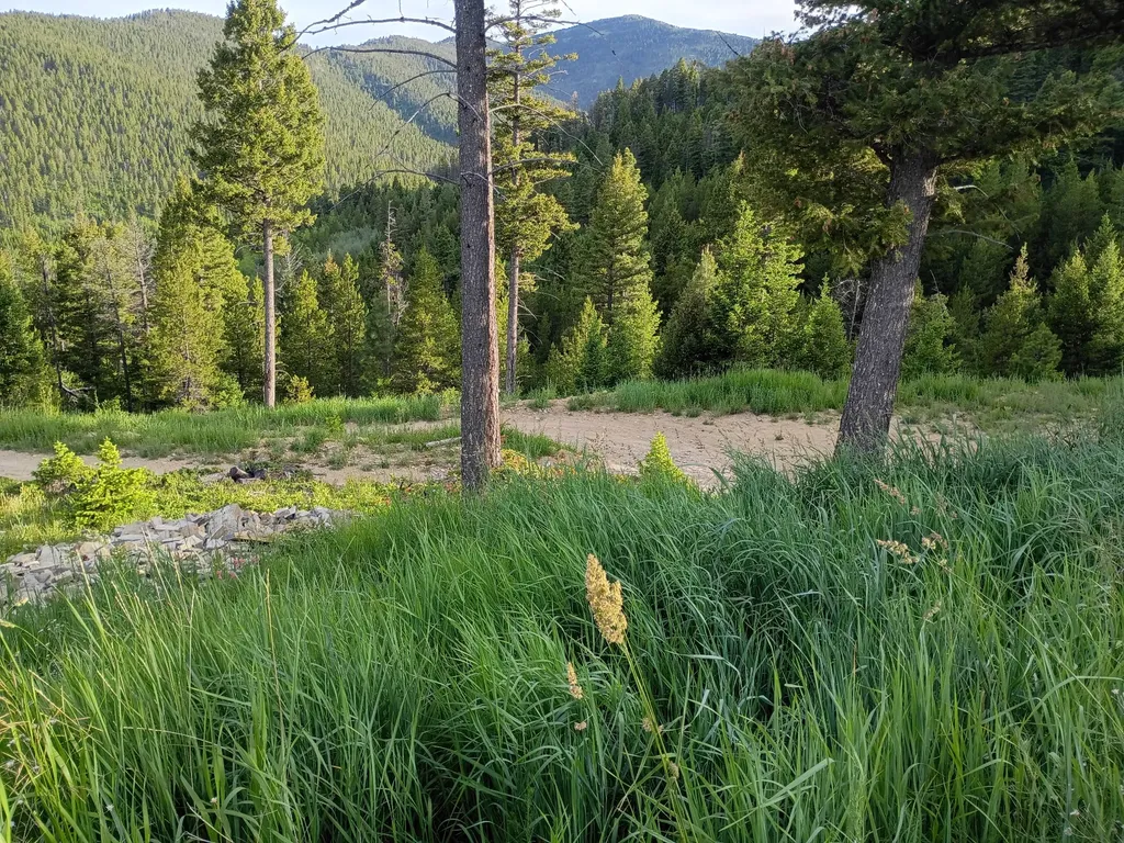 Lot 68 Elk Meadows Lincoln MT 59639