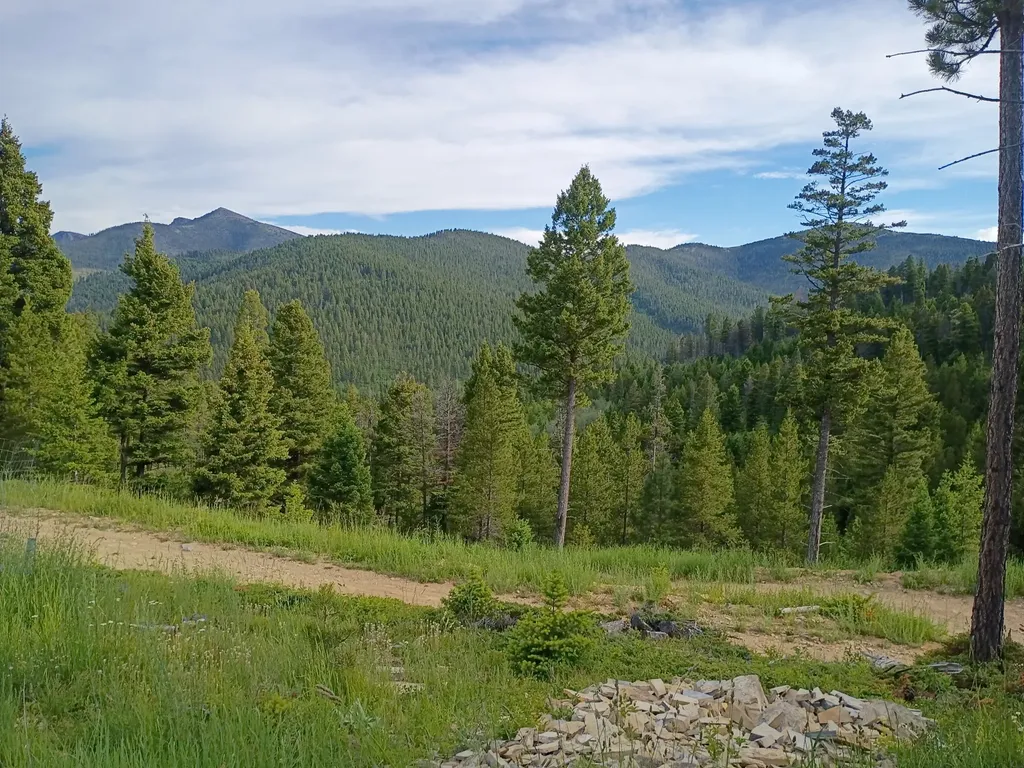 Lot 68 Elk Meadows Lincoln MT 59639