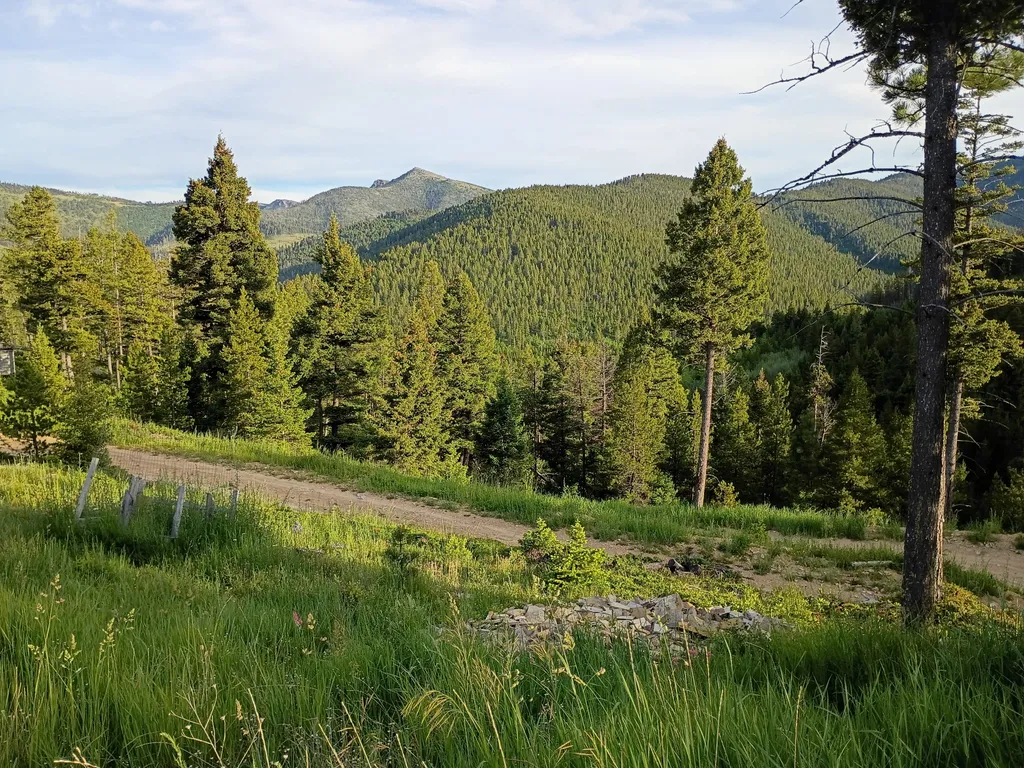 Lot 68 Elk Meadows Lincoln MT 59639