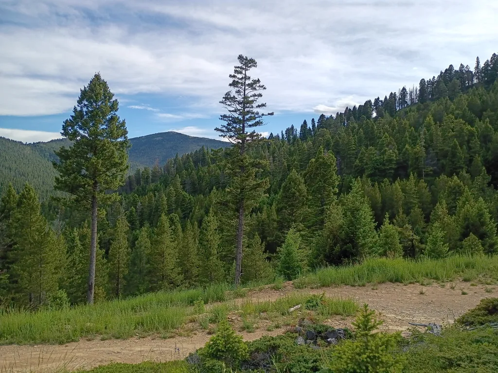 Lot 68 Elk Meadows Lincoln MT 59639