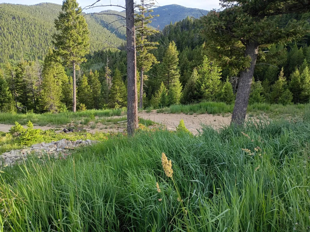 Lot 68 Elk Meadows Lincoln MT 59639