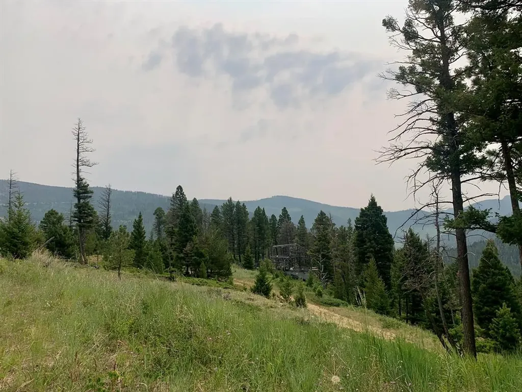 Lot 68 Elk Meadows Lincoln MT 59639