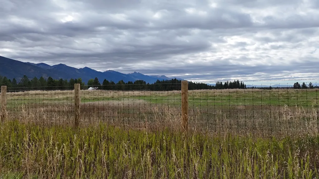 Nhn Mud Lake Trail Polson MT 59860