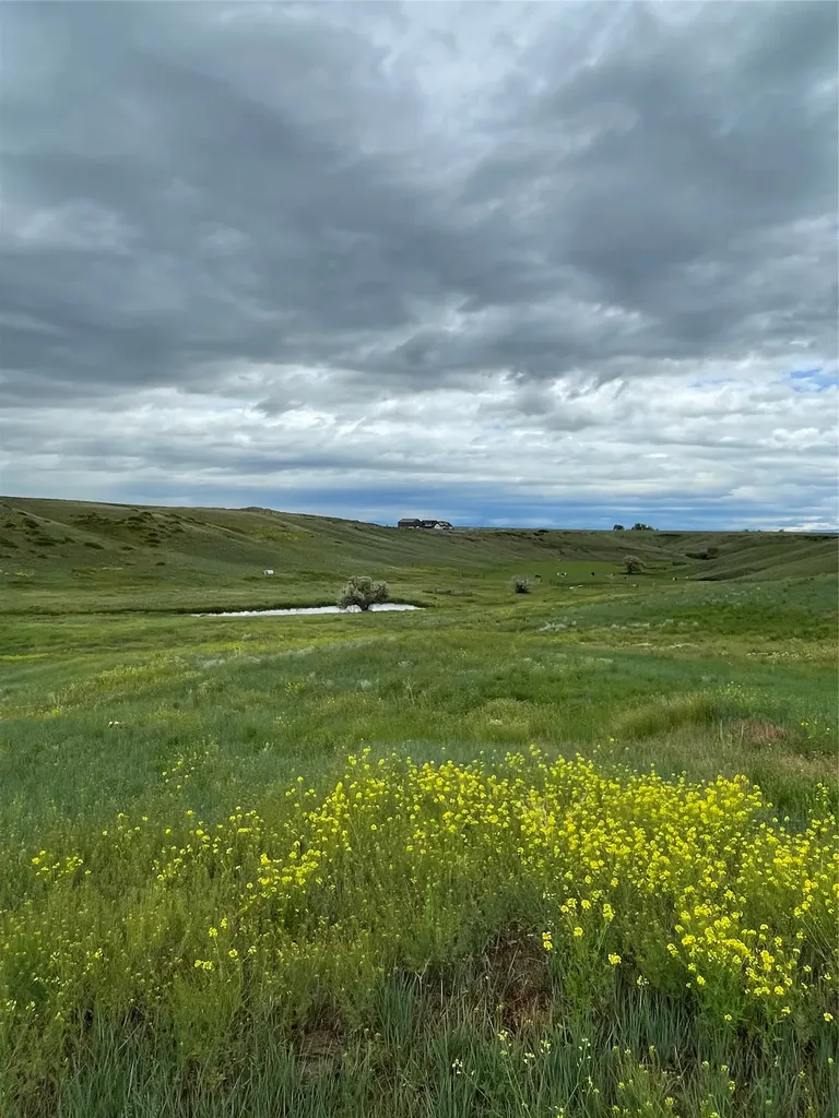 1137 Us Highway 89 Sun River MT 59483